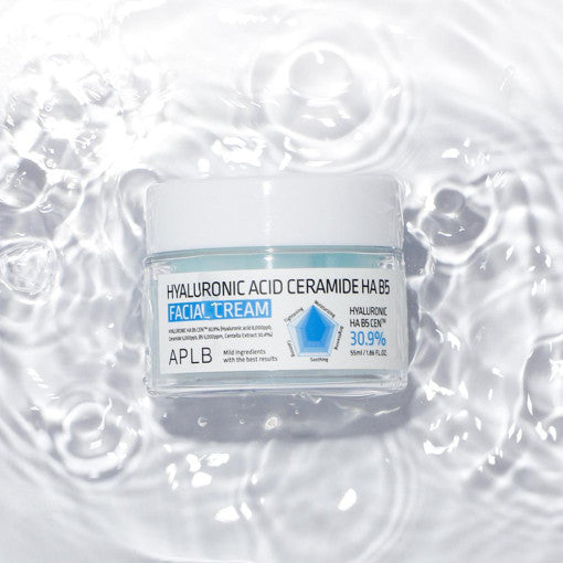 Aplb Hyaluronic Acid Ceramide Ha B5 Facial Cream 55ml