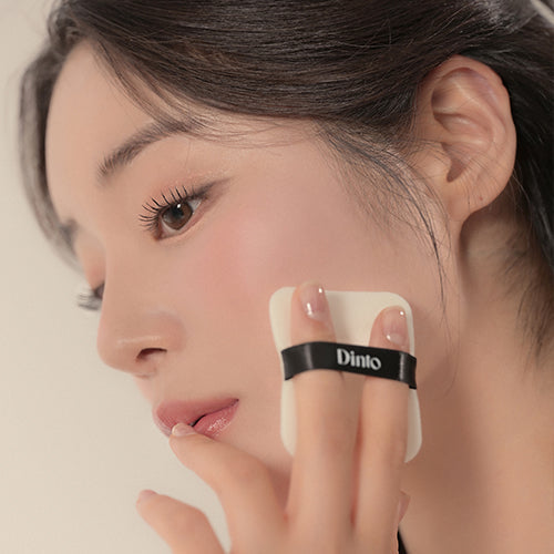 Dinto Blur-fixing Finish Powder Pact 10g - Korean
