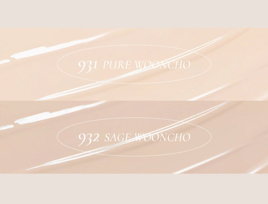 Dinto Wooncho Blur-glowy Foundation 25ml - Korean