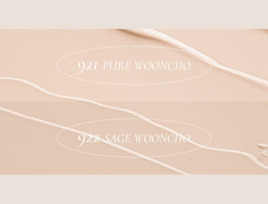 Dinto Wooncho Blur-matte Foundation 25ml - Korean