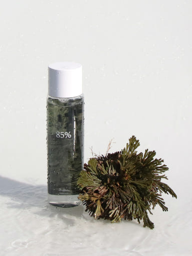 Dr.althea Anastatica Skin Conditioning Toner 250ml - Korean