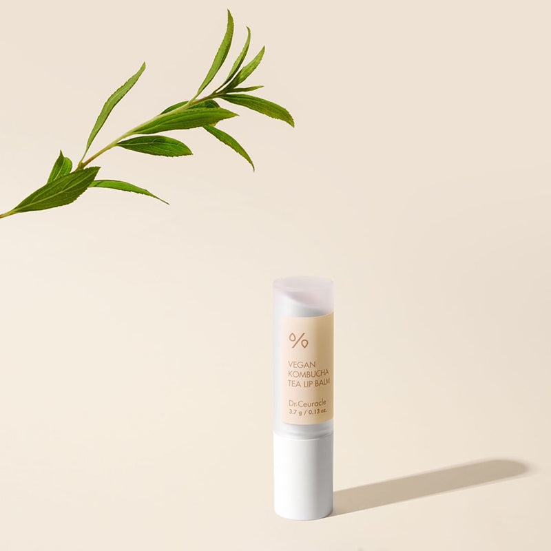 Dr.ceuracle Vegan Kombucha Tea Lip Balm 3.7g - Korean